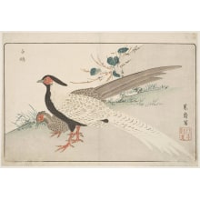 Japanese Print "Silver Phesants" by Kitao Masayoshi, 北尾政美 (Kitao MASAYOSHI)