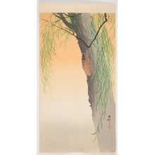 Japanischer Druck "Cicada on the Trunk of a Willow Tree" von Ohara Koson, 小原古邨 (Ohara (Koson) Shoson)