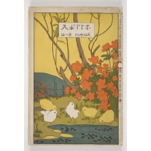 Japanese Print "Hototogisu" by Unknown, 無款
