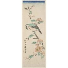 Estampe japonaise "Unidentified White-Headed Bird On A Peach Tree Branch" par Utagawa Yoshikazu, 歌川芳員 (Utagawa Yoshikazu)