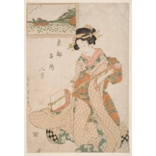 Kikugawa Eizan, 菊川英山 (Kikukawa Eizan 菊川 英山)による浮世絵「Wild Geese Flying Down to a Benten Shrine」