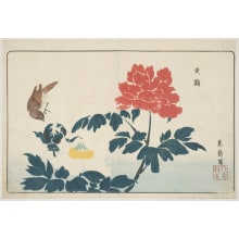Japanese Print "Peonies and a Bush Warbler" by Kitao Masayoshi, 北尾政美 (Kitao MASAYOSHI)