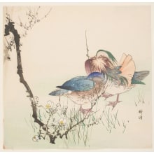 Estampe japonaise "Mandarin Ducks and Plum Blossoms" par Tsukioka Kogyo, 月岡耕漁 (Tsukioka Kogyo)