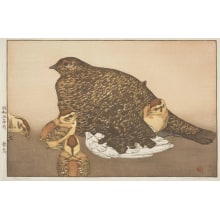 Estampe japonaise "Snow Grouse (Raicho)" par Yoshida Toshi, 吉田遠志 (Yoshida, Toshi)