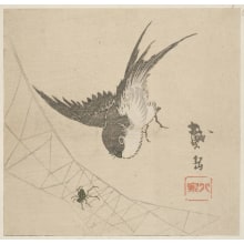 Japanese Print "A Swallow Flying Down To Catch A Spider" by Endo Taigaku