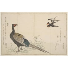 Estampe japonaise "Tsubame Ni Kiji" par Kitagawa Utamaro, 喜多川歌麿 (Kitagawa Utamaro I 喜多川 歌麿)