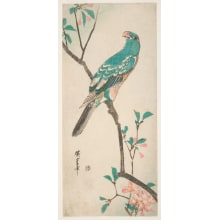 Estampe japonaise "Parrot on a Flowering Branch" par Utagawa Hiroshige, 歌川広重 (Utagawa Hiroshige I 歌川 広重)