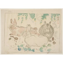 Kawanabe Kyosai, 河鍋暁斎 (Kawanabe Kyosai)による浮世絵「Three Hares, A Plant With Purple Fruit, And A Tree With Yellow Flowers」