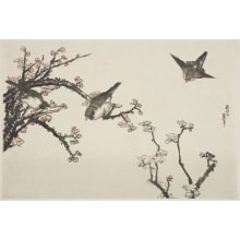Estampe japonaise "Plum Blossoms and Three Japanese Bush-Warblers (ume-hana ni uguisu)" par Unknown, 無款