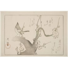 Estampe japonaise "Ume No Hana Ni Uguisu" par Ogata Korin