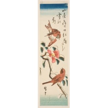 Estampe japonaise "Two Russet Sparrows and a Camellia Branch with One Flower" par Utagawa Hiroshige, 歌川広重 (Utagawa Hiroshige I 歌川 広重)