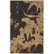 Jakuchu, 伊藤若冲 (Ito, Jakuchu)创作的日本版画《Morning Glories and a Short-Horned Japanese Grasshopper》