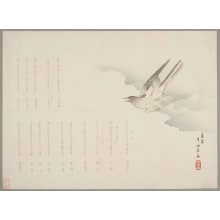 Matsukawa Hanzan, 松川半山 (Matsukawa Hanzan)による浮世絵「A Cuckoo in Flight」