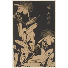 Jakuchu, 伊藤若冲 (Ito Jakuchu)创作的日本版画《"Beauty Willow" (Biyoyanagi) and Grasshopper》