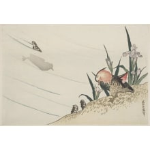 Estampe japonaise "Iris and a Mandarin Duck and Drake" par Unknown, 無款