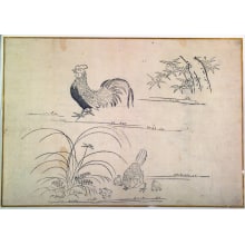 Estampe japonaise "A Cock, Hen and Three Chicks, Grasses and Bamboo" par Unknown, 無款