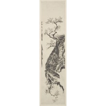Estampe japonaise "Momiji Ni Taka" par Kitagawa Utamaro, 喜多川歌麿 (Kitagawa Utamaro I 喜多川 歌麿)