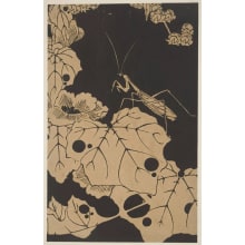 Jakuchu, 伊藤若冲 (Jakuchu Ito)创作的日本版画《Hibiscus (Bussoge; also called Rosemallow or Rose of China; plant from the Malvaceae family) and Praying Mantis》