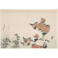 Estampe japonaise "Chrysanthemums and Sparrows (kiku ni suzume)" par Unknown, 無款