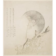 Estampe japonaise "Plum Blossoms and Full Moon" par Ryuryukyo Shinsai, 柳々居辰斎 (Ryuryukyo Shinsai)
