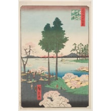 Estampe japonaise "Suwa Bluff, Nippori (Nippori, Suwanodai)" par Utagawa Hiroshige, 歌川広重 (Utagawa Hiroshige I 歌川 広重)