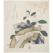 Kubo Shunman, 窪俊満 (Kubo Shunman)による浮世絵「Famous Products of Places in the Province of Yamashiro」