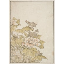 Japanese Print "Flowers Of The Autumn Months: Hibiscus And Chinese Bell Flower" by Kitao Shigemasa, 北尾重政 (Kitao Shigemasa 北尾 重政, Katsukawa Shunshō 勝川 春章)