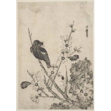 Unknown, 無款创作的日本版画《A Black Bird On A Branch Of A Tree In Full Flower》