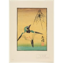 Japanese Print "A Spider in its Web and a Java Sparrow (Buncho) in Flight" by Tanaka Bunsei