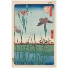Utagawa Hiroshige, 歌川広重 (Utagawa Hiroshige I 歌川 広重)による浮世絵「Horikiri Iris Garden (Horikiri no hanashōbu)」