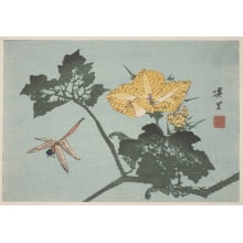 Estampe japonaise "A Dragonfly and a Branch of an Unidentified Shrub" par Keiri