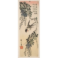 Japanese Print "Wisteria Flowers and Swallow" by Utagawa Hiroshige, 歌川広重 (Utagawa Hiroshige I 歌川 広重)