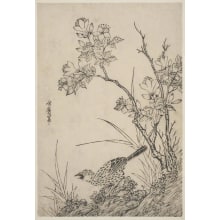 Unknown, 無款创作的日本版画《A Flowering Shrub, Grasses And A Bird On A Hillside》