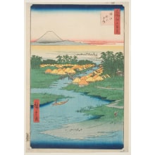 Utagawa Hiroshige, 歌川広重 (Utagawa Hiroshige I 歌川 広重)による浮世絵「Horie and Nekozane (Horie Nekozane)」