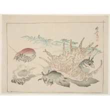 Estampe japonaise "Shell-Fish, Crabs, Shrimps, a Large Sazai Shell and Water Weeds" par Kawanabe Kyosai, 河鍋暁斎 (Kawanabe Kyosai)