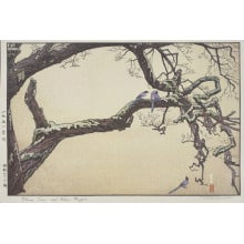 Japanese Print "Plum Tree and Blue Magpie" by Yoshida Toshi, 吉田遠志 (Yoshida, Toshi)
