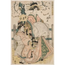 Kikugawa Eizan, 菊川英山 (Kikukawa Eizan 菊川 英山)による浮世絵「The Courtesan Akashi Of Tama-Ya, The Jewel House」
