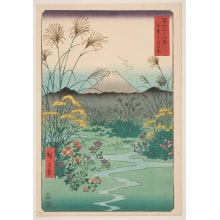 Japanese Print "Ōtsuki Plain in Kai Province (Kai Ōtsuki no hara)" by Utagawa Hiroshige, 歌川広重 (Utagawa Hiroshige I 歌川 広重)
