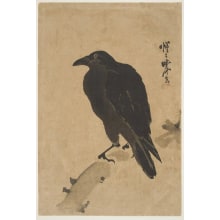 Kawanabe Kyosai, 河鍋暁斎 (Kawanabe Kyosai)创作的日本版画《Northern Raven On A Withered Branch》