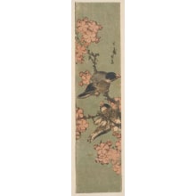 Japanese Print "Finches and Cherry Blossoms" by Katsushika Taito II