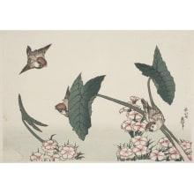 Japanischer Druck "Small Pinks, Arrowhead And Russet Sparrows" von Unknown, 無款