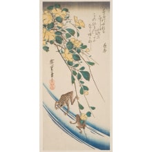 Utagawa Hiroshige, 歌川広重 (Utagawa Hiroshige I 歌川 広重)による浮世絵「Kerria Japonica and Frogs」