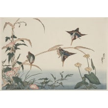 Japanischer Druck "Pink Morning Glories, Bamboo, Kingfishers" von Unknown, 無款