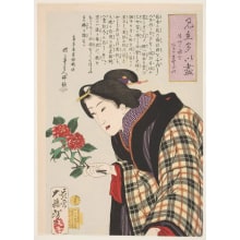 Japanischer Druck "I want to put this in water quickly" von Tsukioka Yoshitoshi, 月岡芳年 (Tsukioka Yoshitoshi 月岡 芳年)