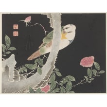 Jakuchu, 伊藤若冲 (Ito, Jakuchu)创作的日本版画《Roses And A Parrot》