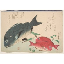 Japanischer Druck "Black Sea Bream, Small Sea Bream, and Sanshō Pepper" von Utagawa Hiroshige, 歌川広重 (Utagawa Hiroshige I 歌川 広重)