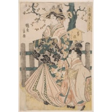 Kikugawa Eizan, 菊川英山 (Kikukawa Eizan 菊川 英山)による浮世絵「The Courtesan Sugawara of the House named Tsuru-ya」