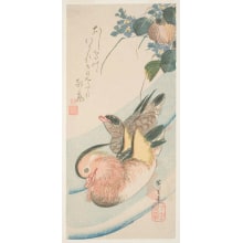 Japanese Print "Mandarin Ducks (Oshidori)" by Utagawa Hiroshige, 歌川広重 (Utagawa Hiroshige I 歌川 広重)