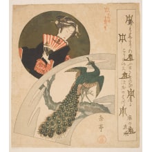 Yashima Gakutei, 屋島岳亭 (Gakutei, Yashima)による浮世絵「On a Fan Paper a Picture of a Peacock Perched on the Bent-Over Trunk of a Tree」