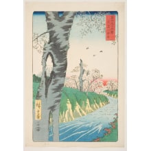Japanese Print "Koganei in Musashi Province (Musashi Koganei)" by Utagawa Hiroshige, 歌川広重 (Utagawa Hiroshige I 歌川 広重)